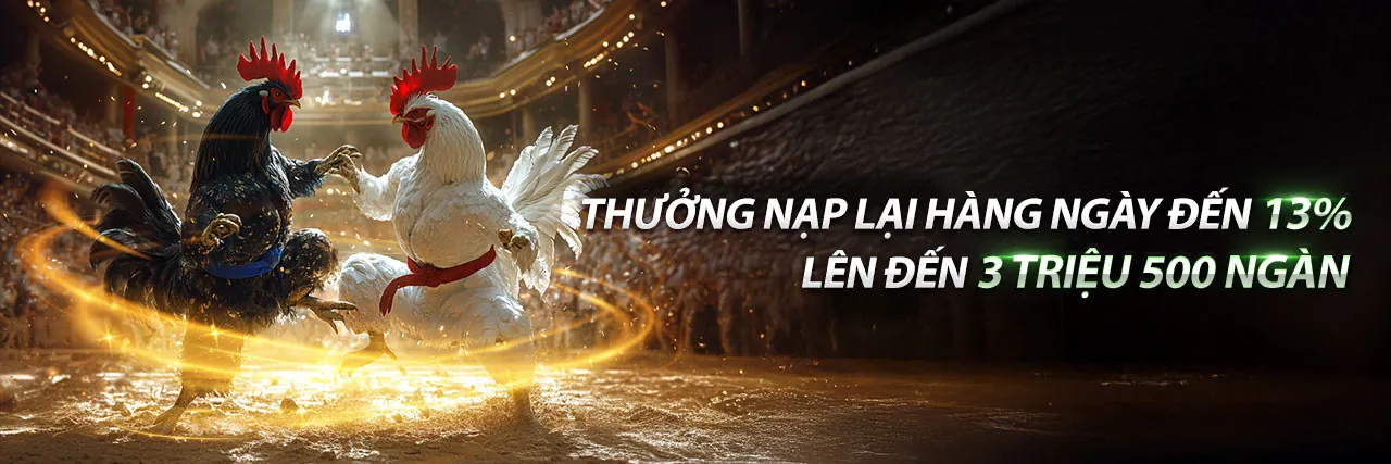 Tin tức mb5 đăng nhập 2026 về cá cược trực tuyến và ưu đãi hấp dẫn